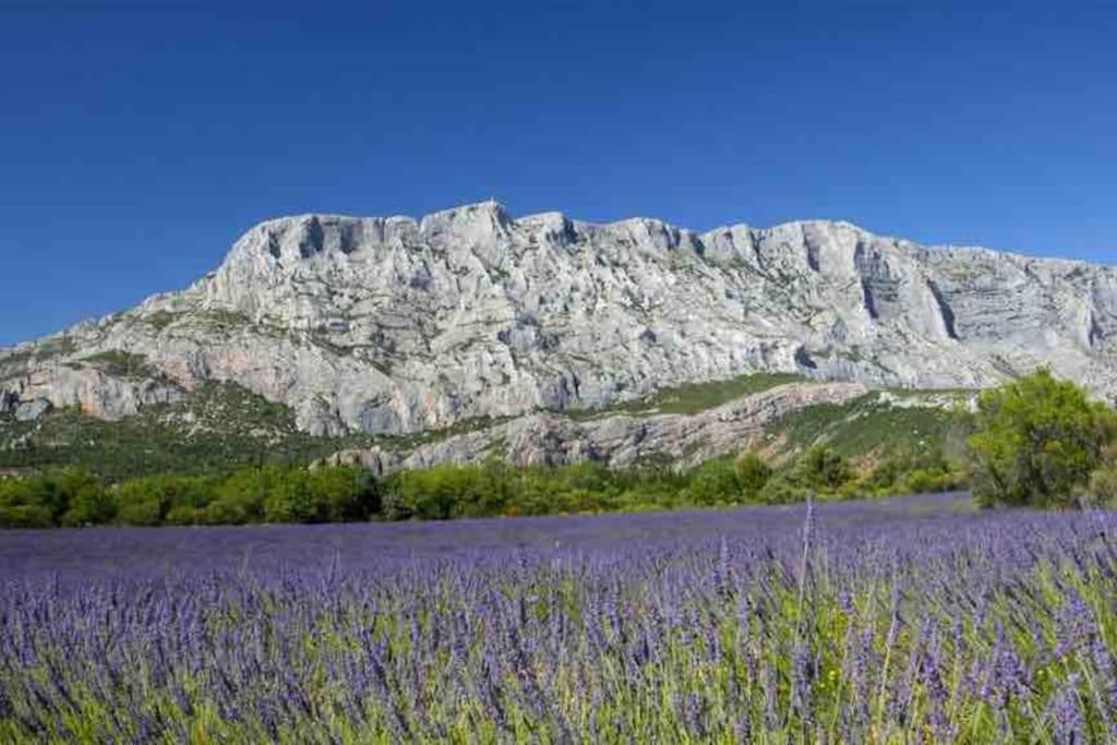 Le Cardinale - Un Voyage En Provence - 2 Chambres Avec Parking 普罗旺斯地区艾克斯 外观 照片